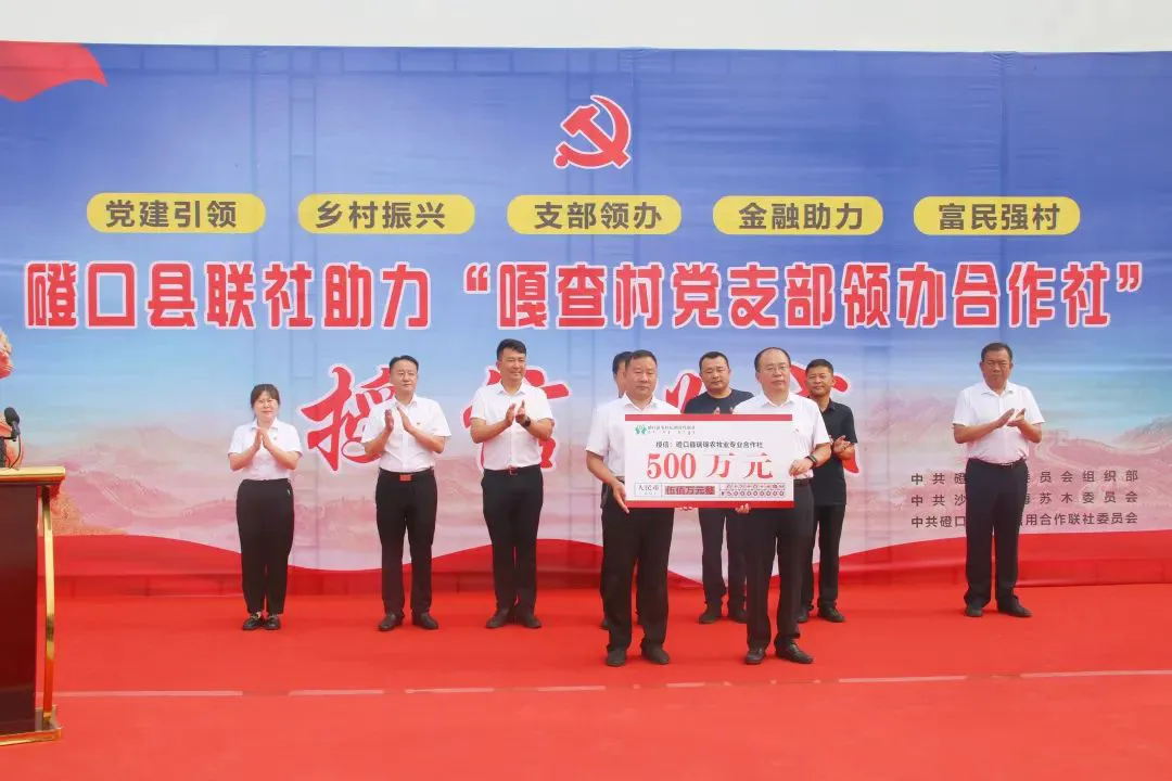 如何在比赛中发现和发展球员潜力_0